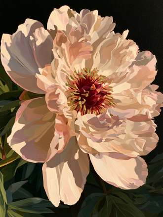 I am the rose of Sharon